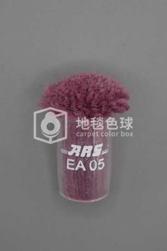 ARS EA05