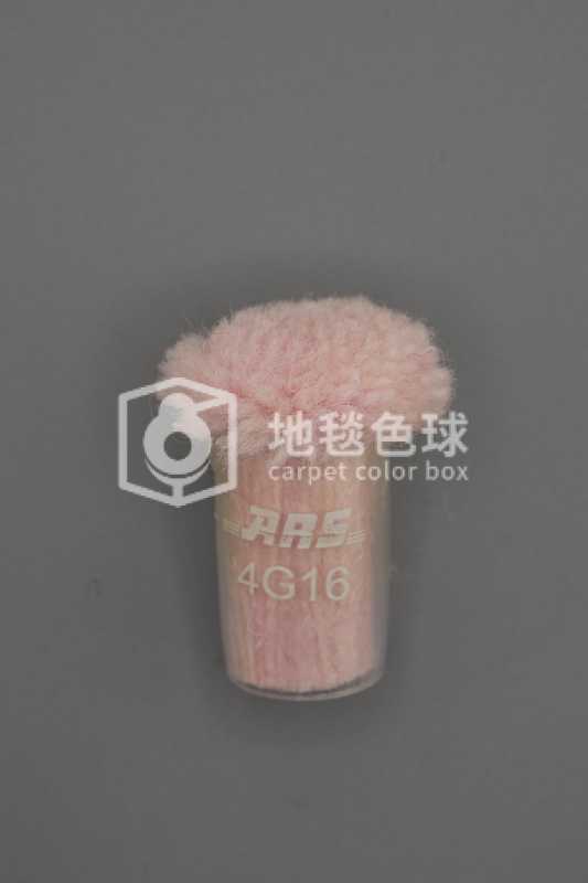 ARS 4G16