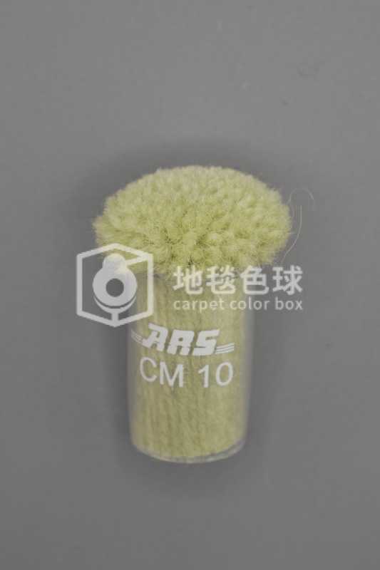 ARS CM10