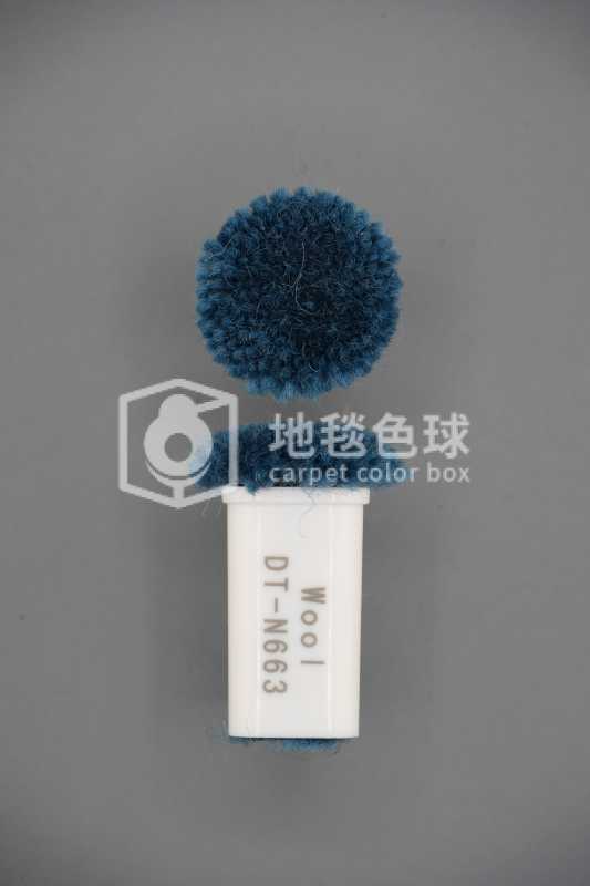 DT N663