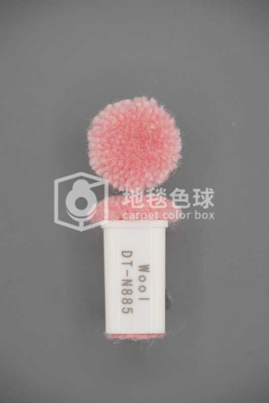 DT N885