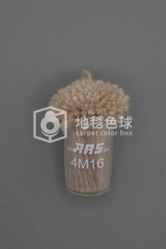ARS 4M16