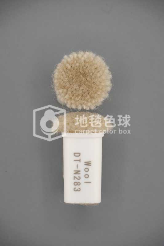 DT N283