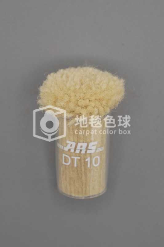 ARS DT10