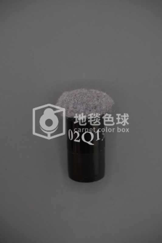 02Q1