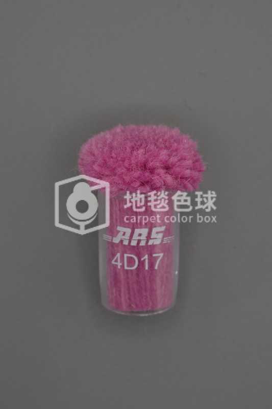 ARS 4D17