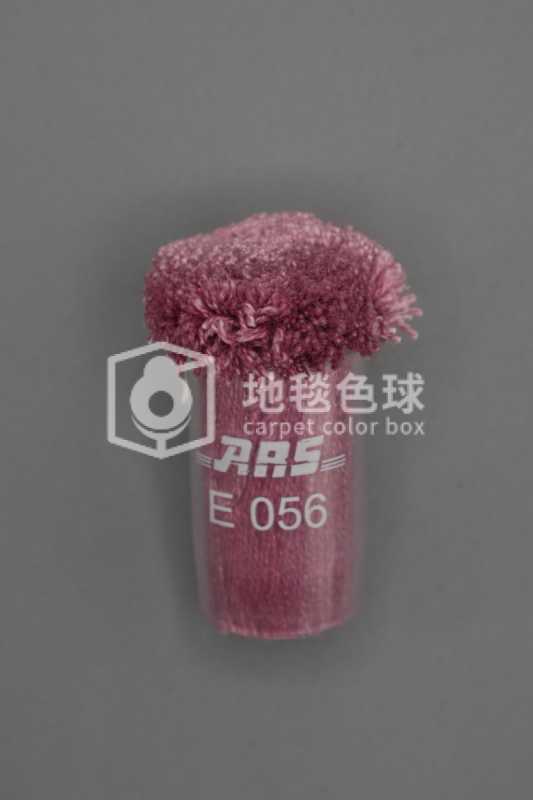 ARS E056