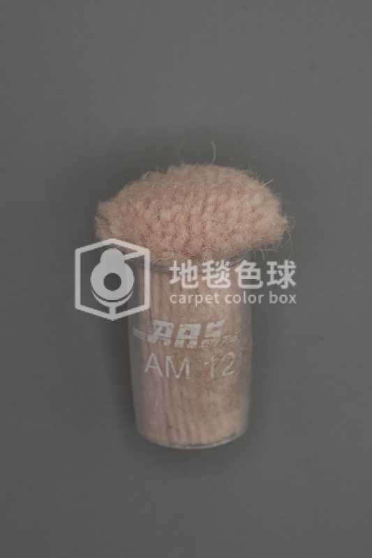 ARS AM12