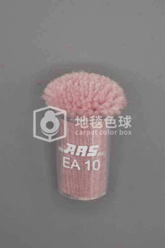 ARS EA10