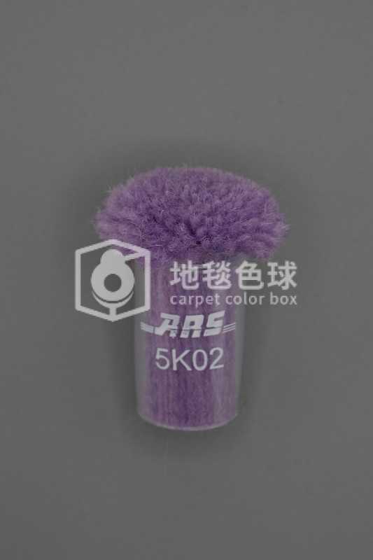 ARS 5K02