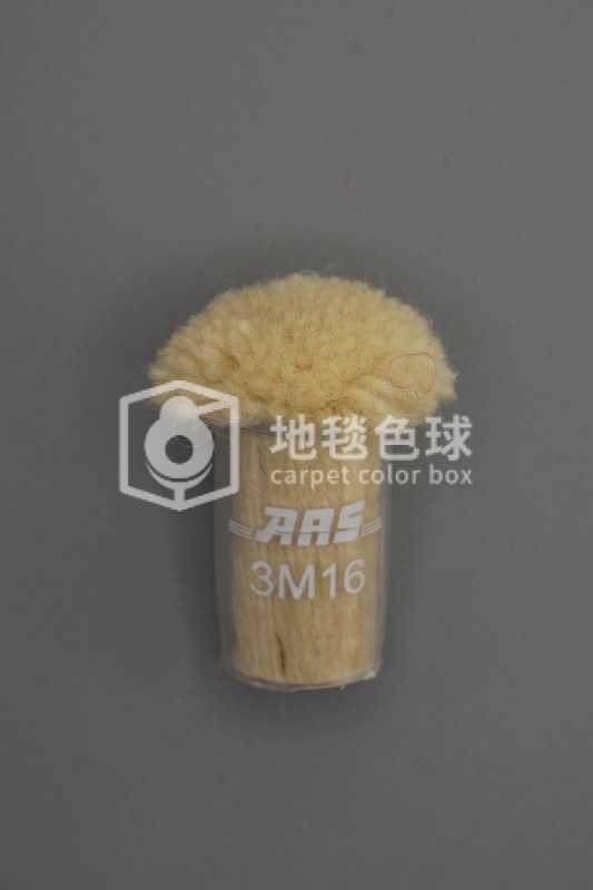 ARS 3M16