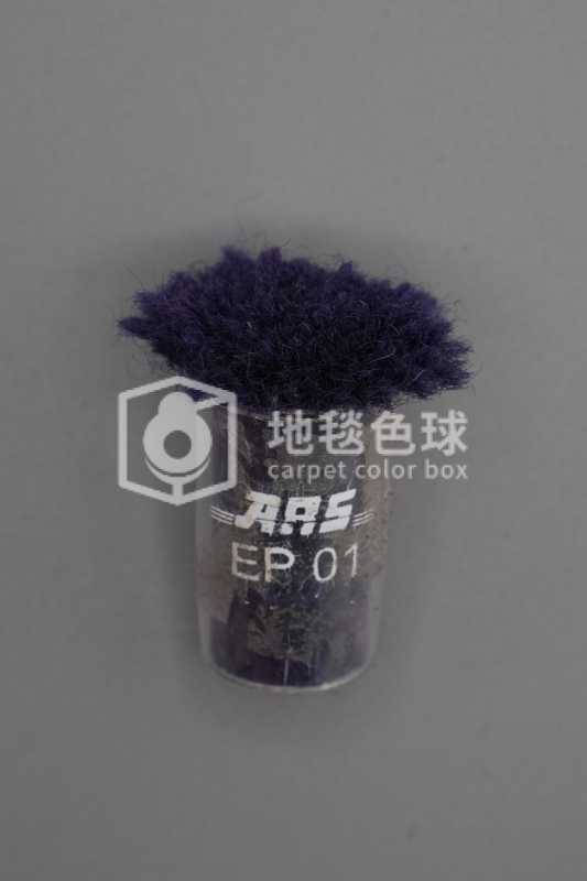 ARS EP01