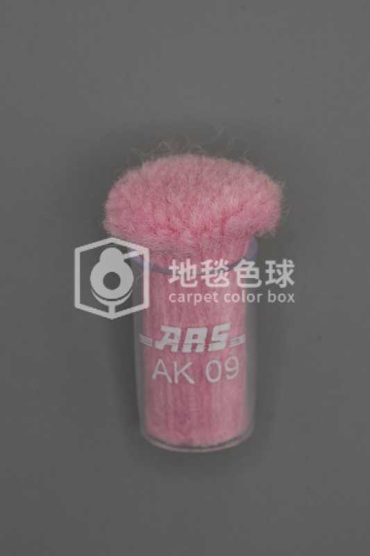 ARS AK09
