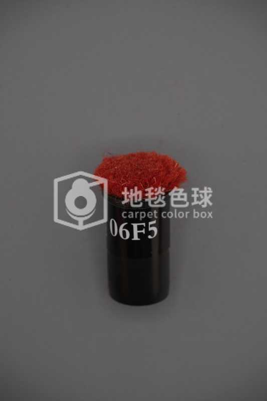 06F5