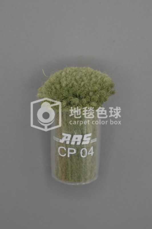 ARS CP04