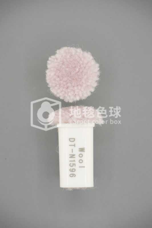DT N1596