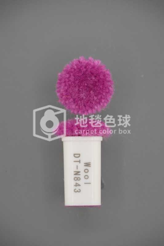 DT N843