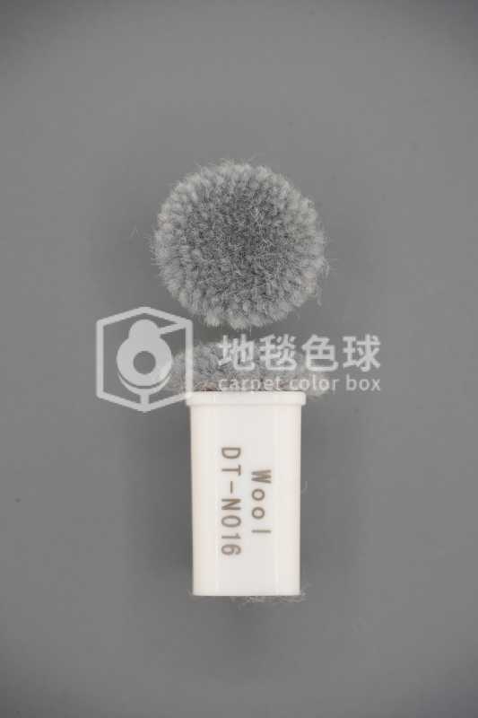 DT N016