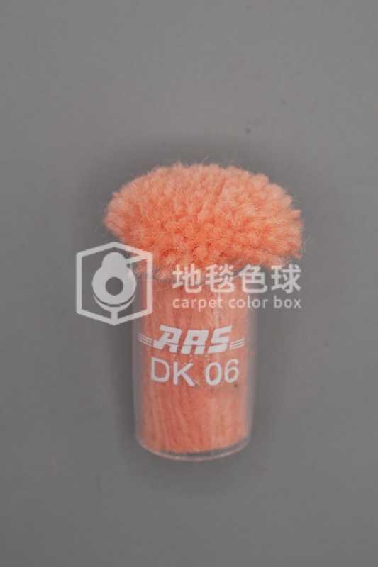 ARS DK06