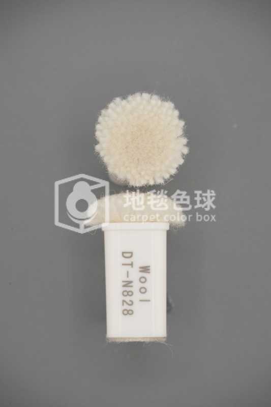 DT N828