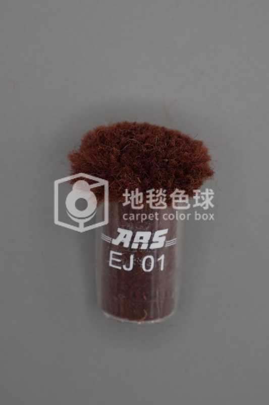ARS EJ01