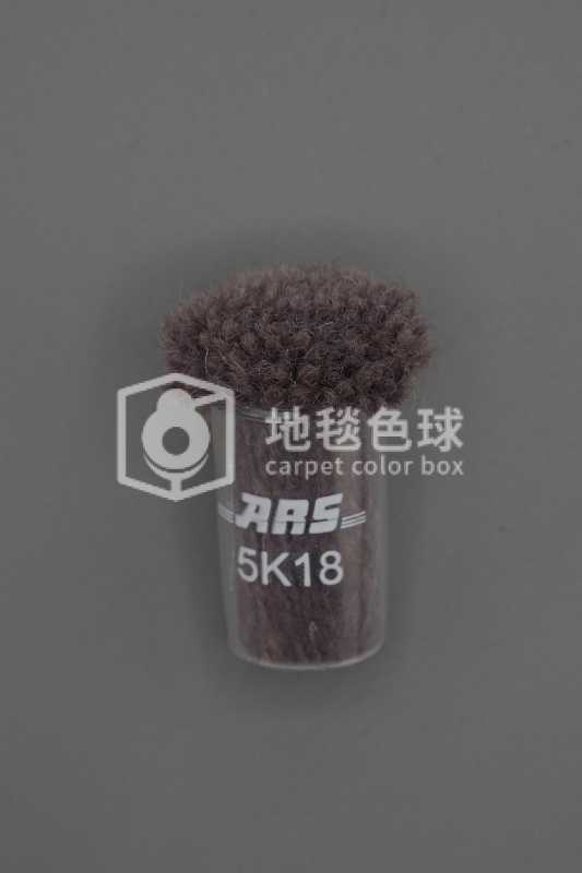 ARS 5K18