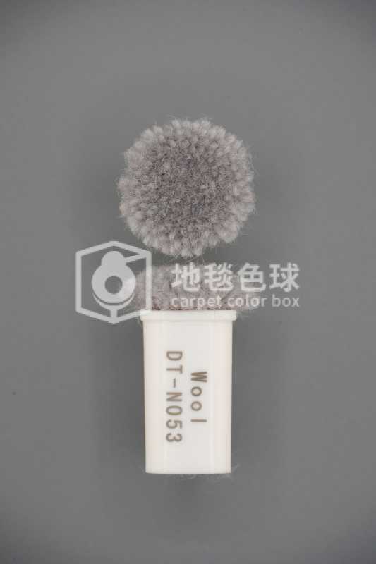 DT N053