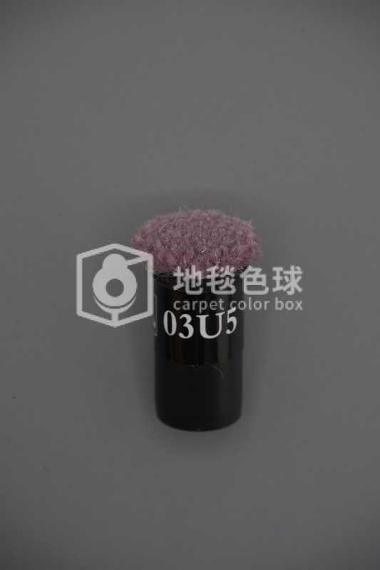 03U5