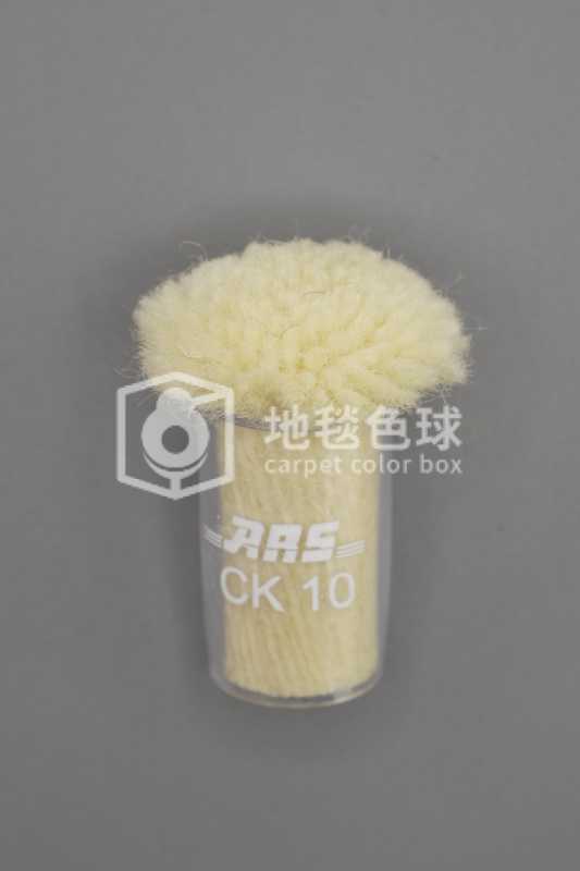 ARS CK10