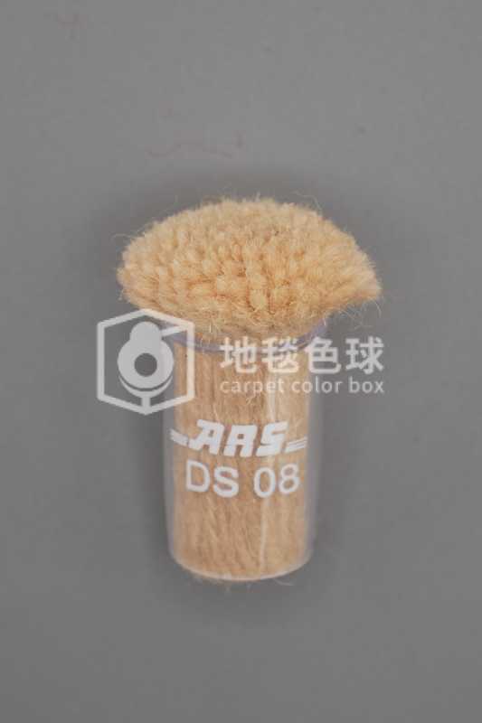 ARS DS08