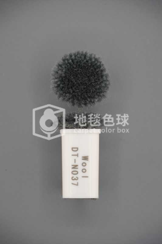 DT N037