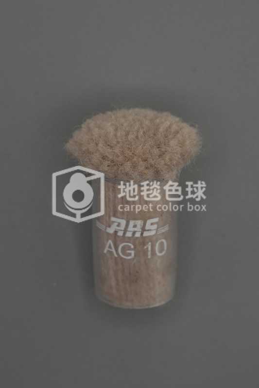 ARS AG10