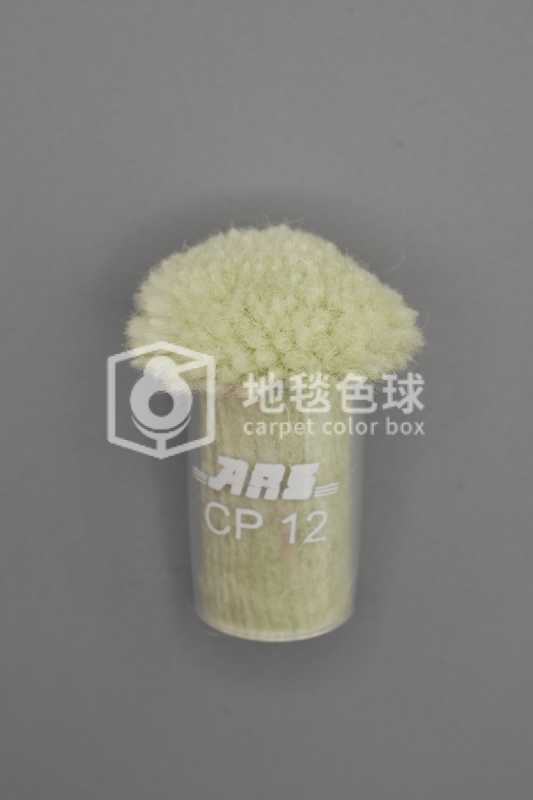 ARS CP12