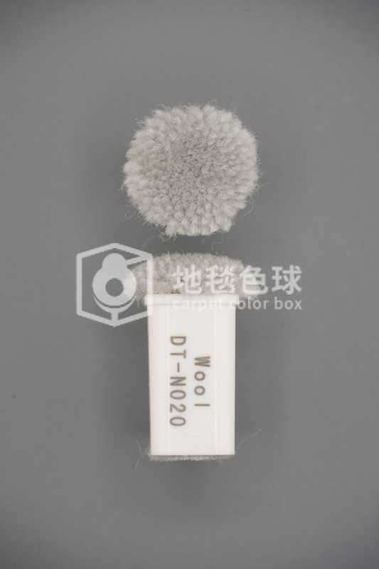 DT N020