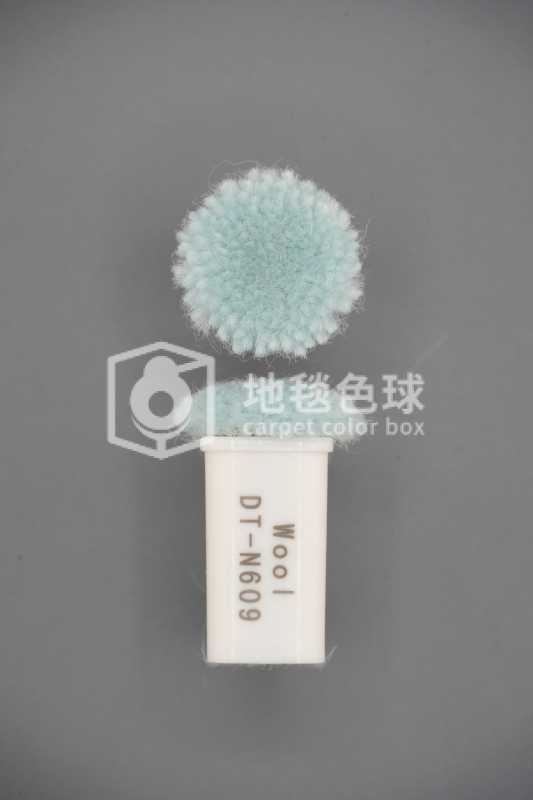 DT N609