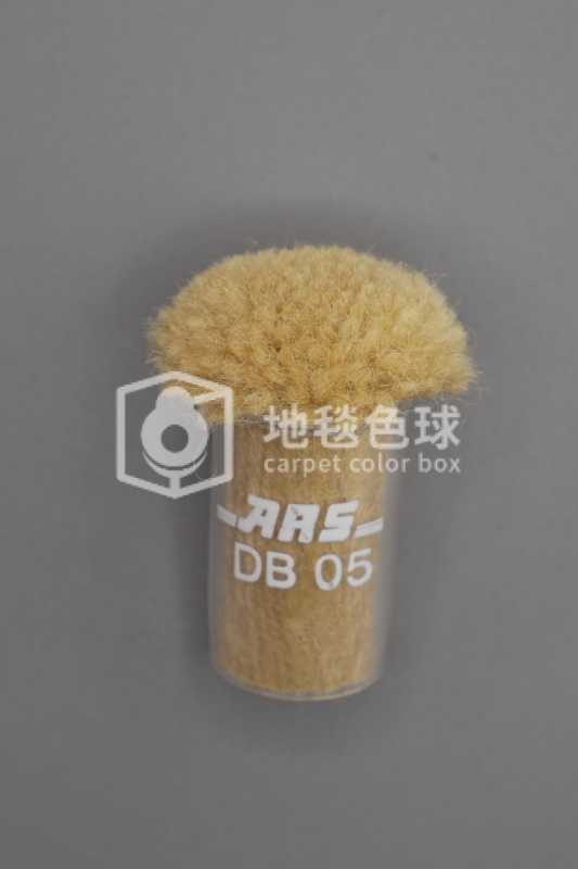 ARS DB05