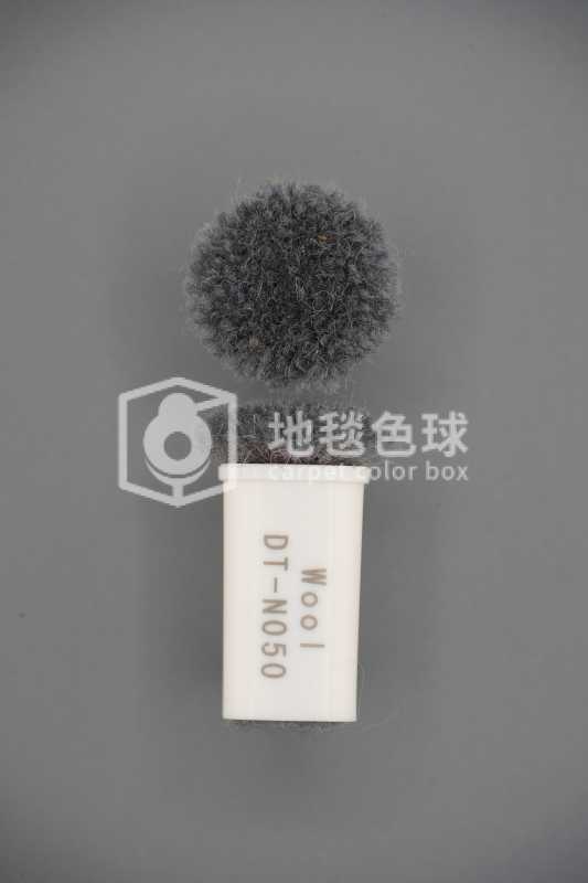 DT N050