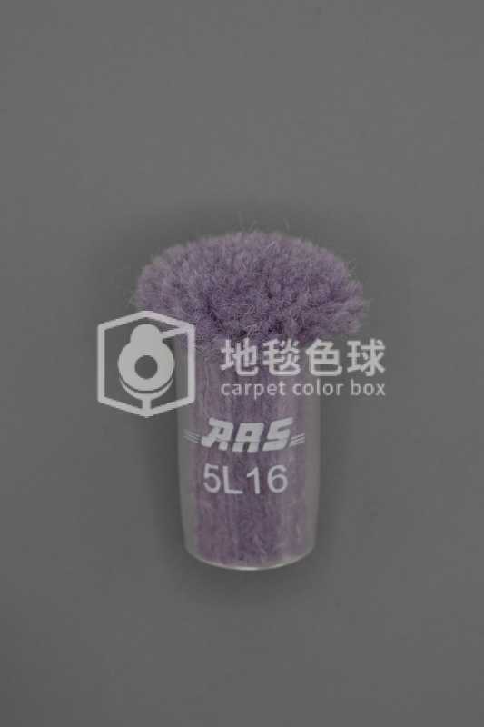 ARS 5L16