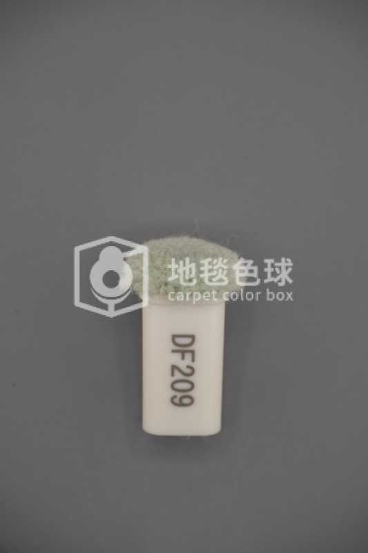 DF209