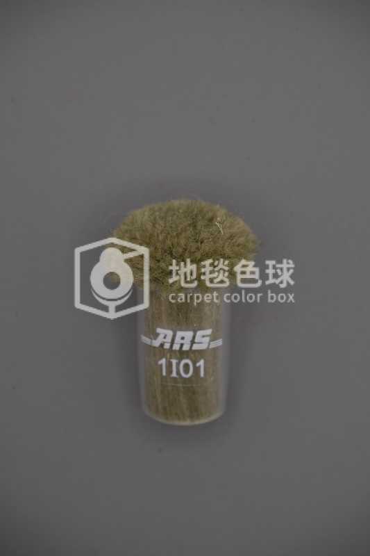 ARS 1I01