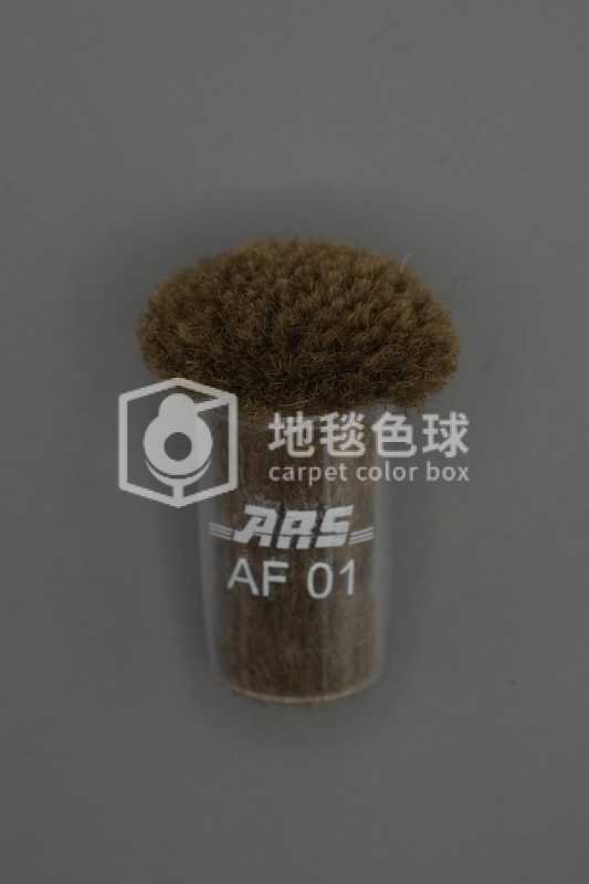 ARS AF01