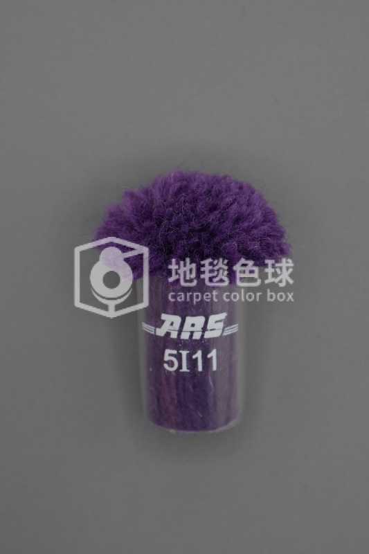 ARS 5I11