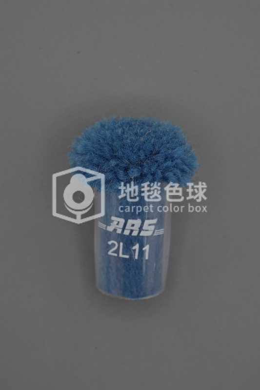 ARS 2L11