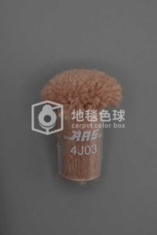 ARS 4J03