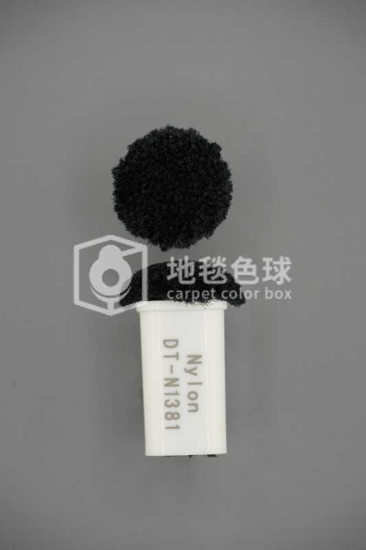 DT N1381