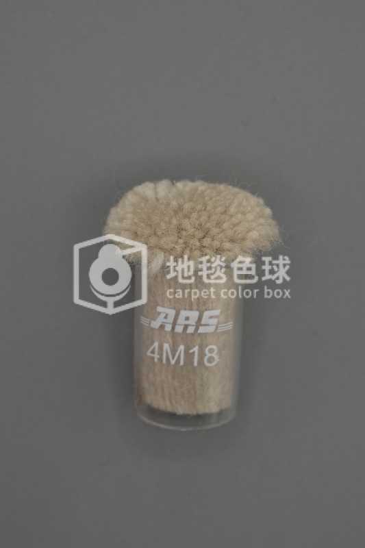 ARS 4M18