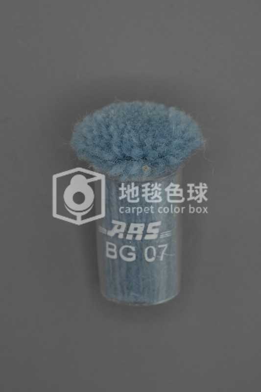 ARS BG07