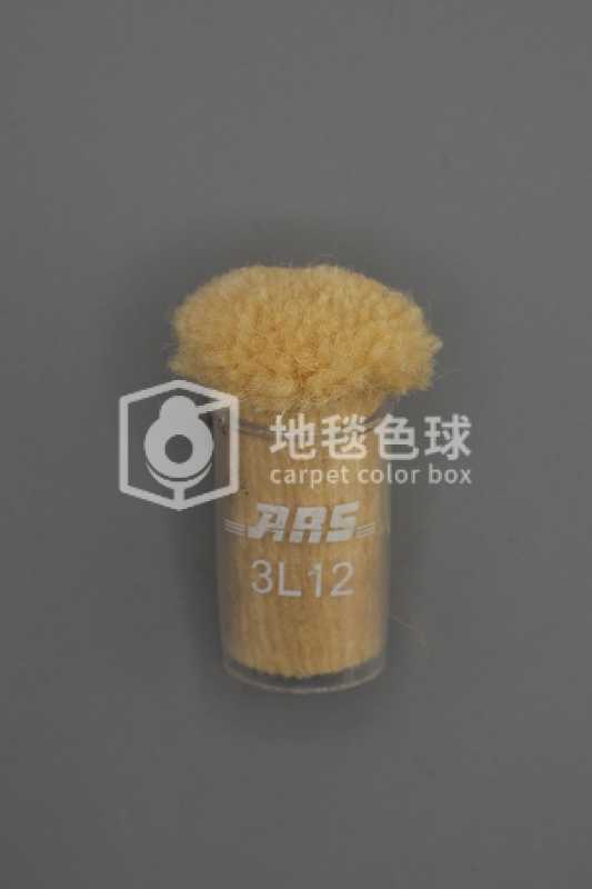 ARS 3L12