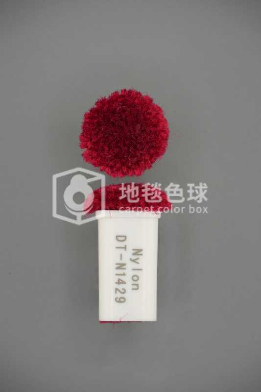 DT N1429