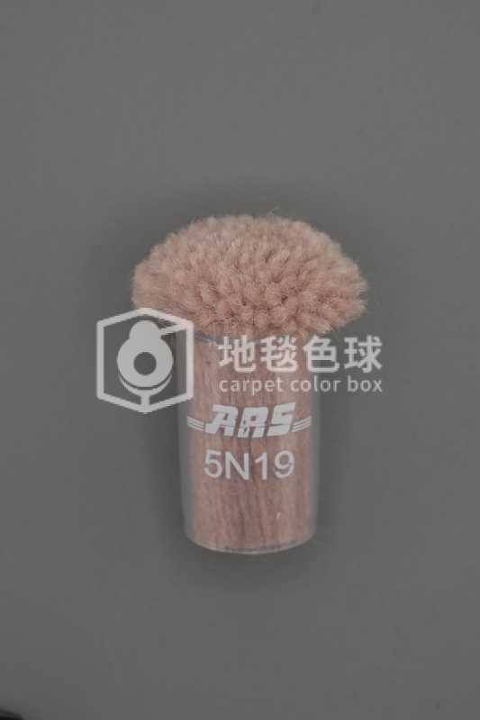 ARS 5N19
